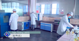 Egret Lab 2020